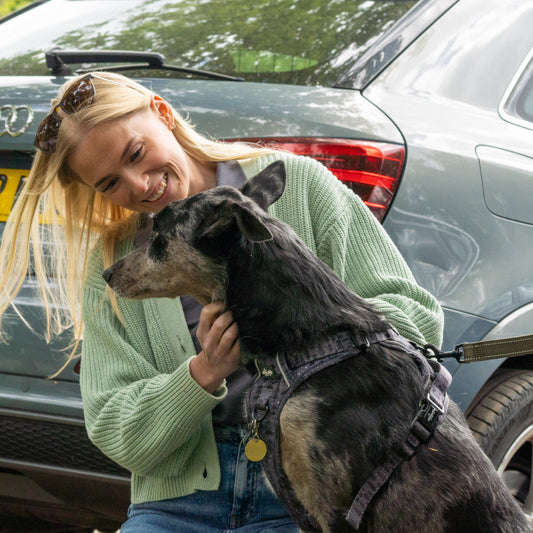 Why Rescuing a Dog Might Be the Best Decision You'll Ever Make and Why It’s Better Than Buying One