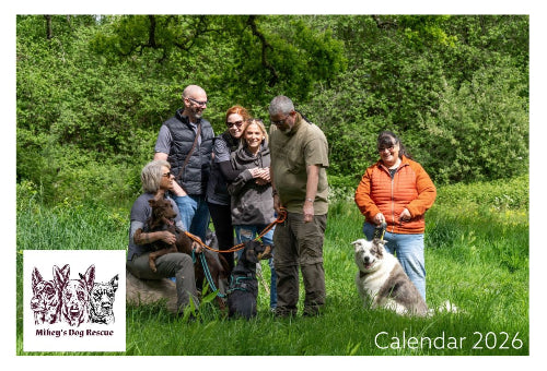 Mikey's Dog Rescue 2026 Calendar